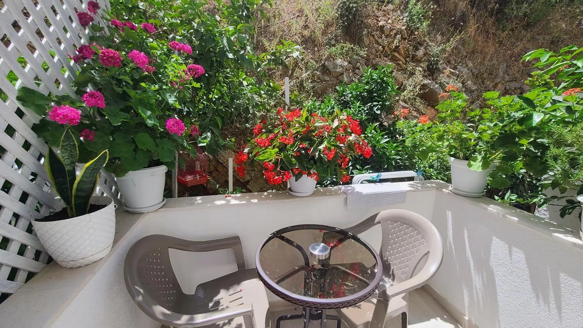 Guest house Luxury Room'S By Lika Sarande
